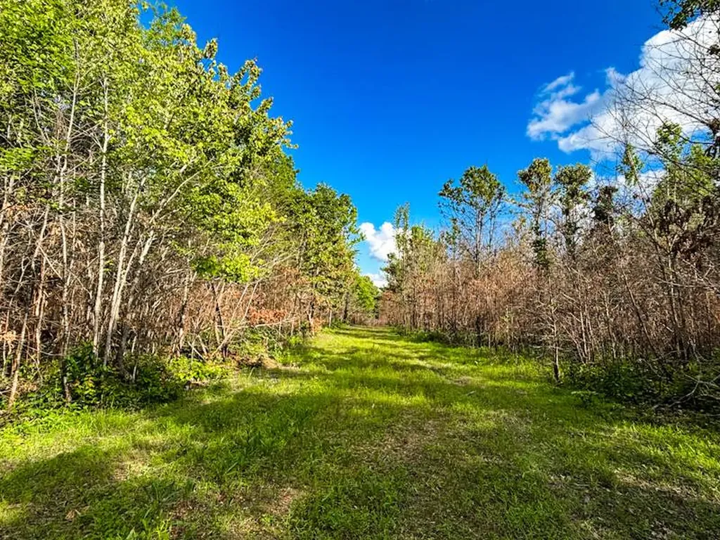 1 Hyde Road Phil Campbell AL 35581