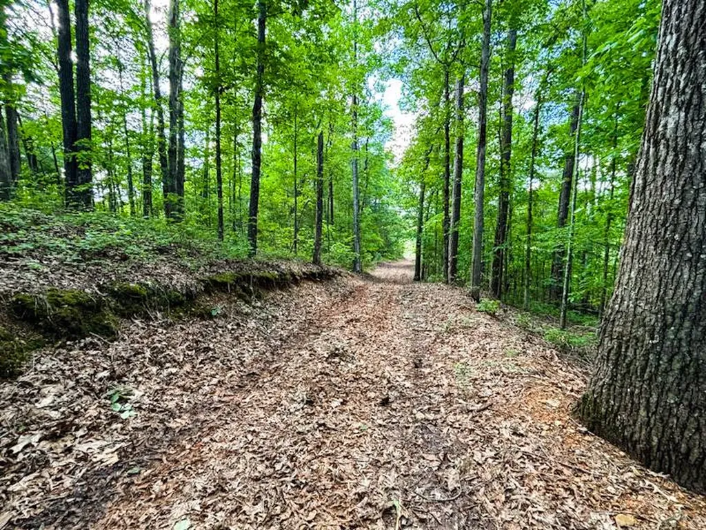 1 Hyde Road Phil Campbell AL 35581