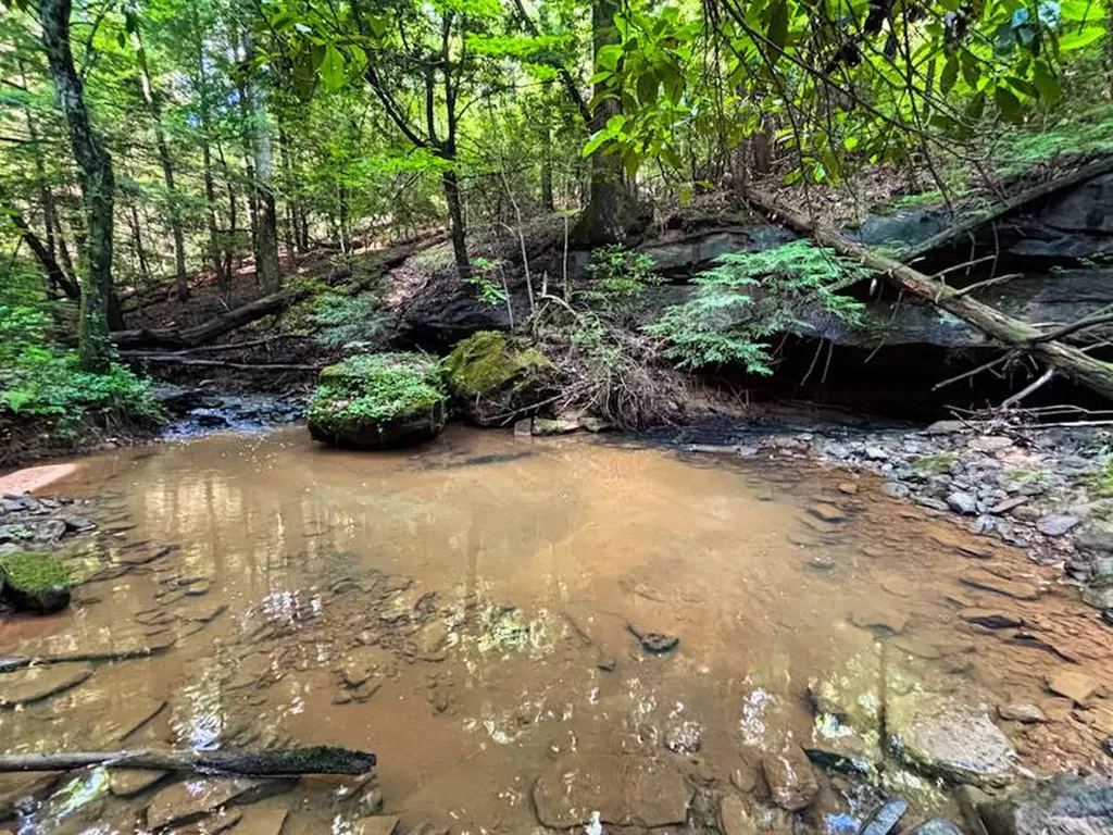 0 Hyde Road Phil Campbell AL 35581