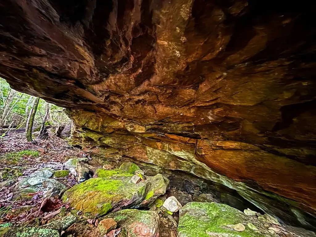 0 Hyde Road Phil Campbell AL 35581