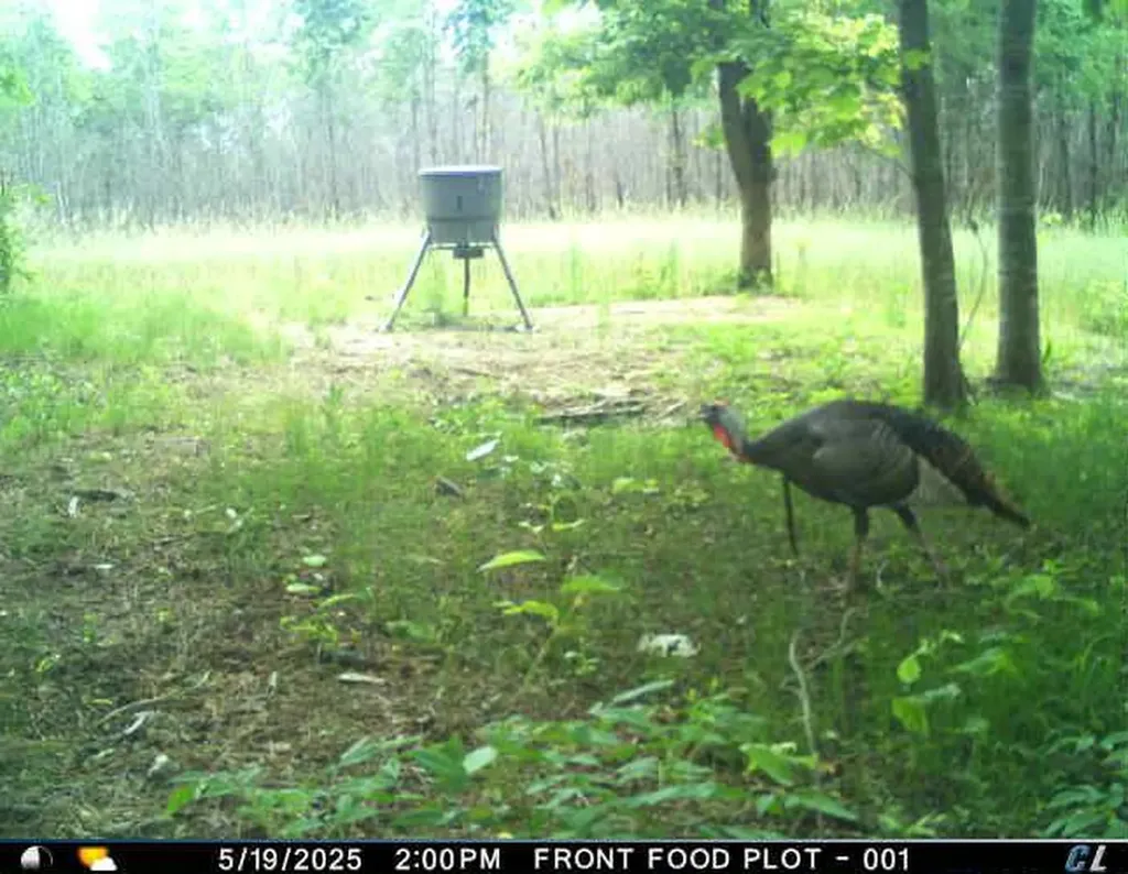 0 Hyde Road Phil Campbell AL 35581