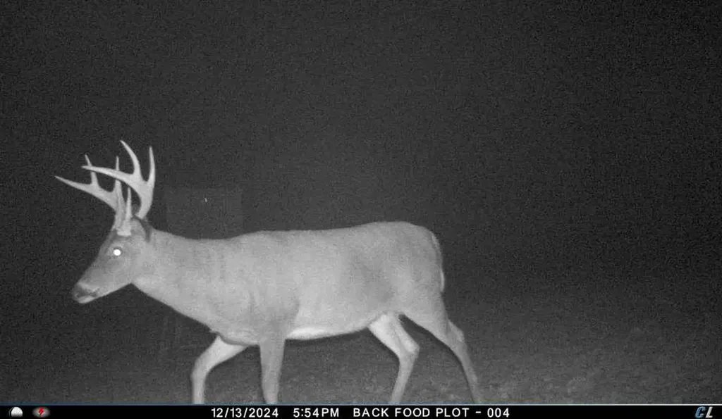 0 Hyde Road Phil Campbell AL 35581