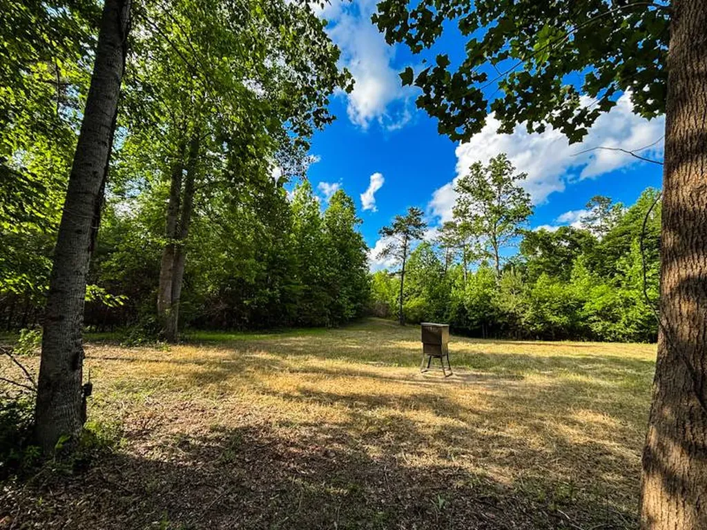 1 Hyde Road Phil Campbell AL 35581