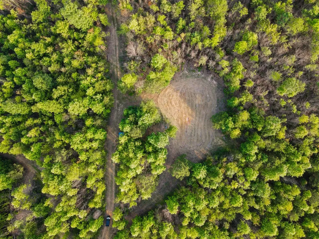 0 Hyde Road Phil Campbell AL 35581