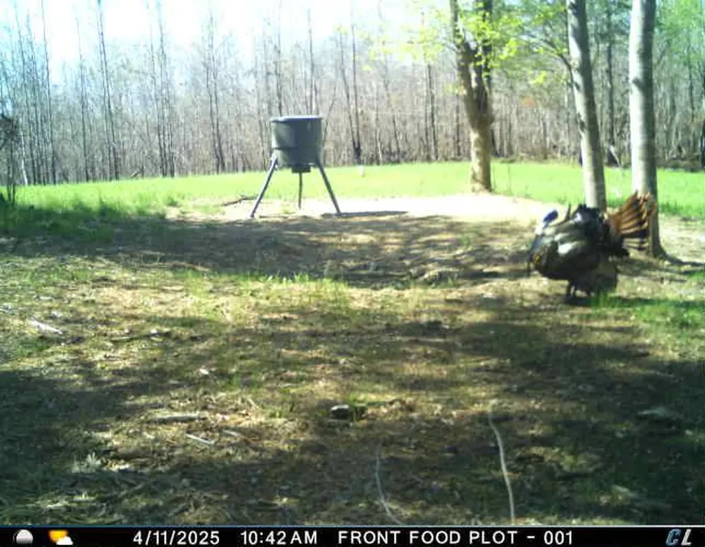 0 Hyde Road Phil Campbell AL 35581