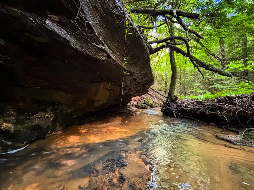 0 Hyde Road Phil Campbell AL 35581