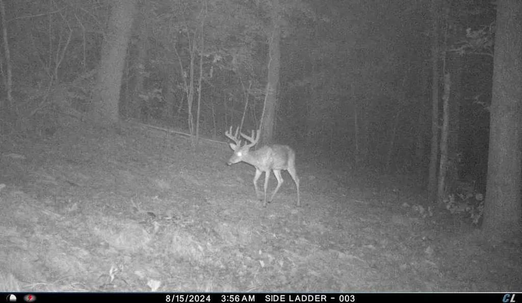 0 Hyde Road Phil Campbell AL 35581