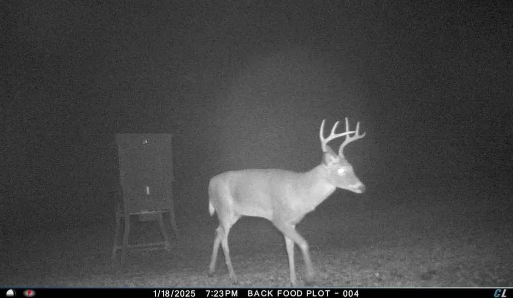 0 Hyde Road Phil Campbell AL 35581