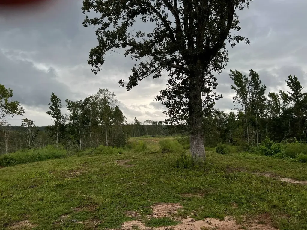 0 Pinhook Road Demopolis AL 36732