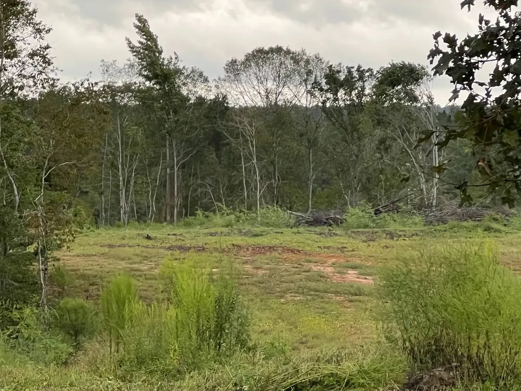 0 Pinhook Road Demopolis AL 36732