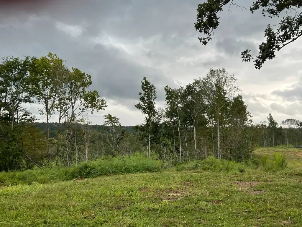 0 Pinhook Road Demopolis AL 36732