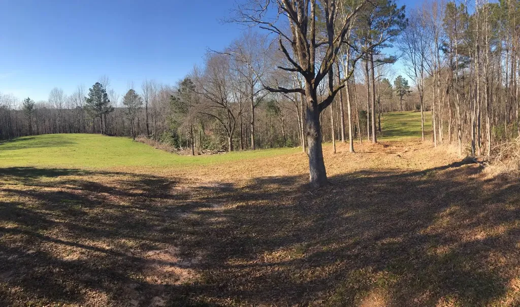 0 Pinhook Road Demopolis AL 36732