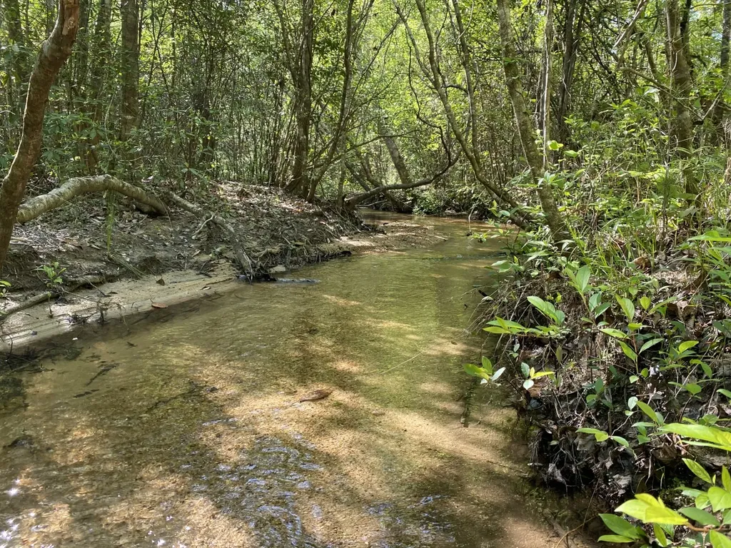 0 Shady Grove Road Gainestown AL 36540