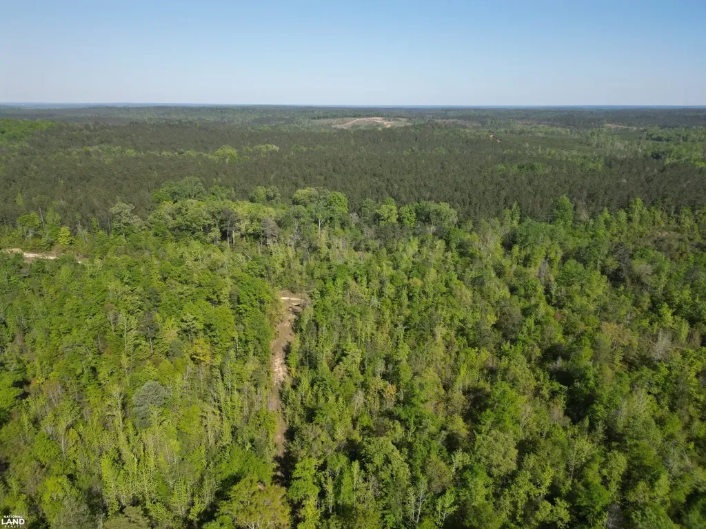 0 Shady Grove Road Gainestown AL 36540