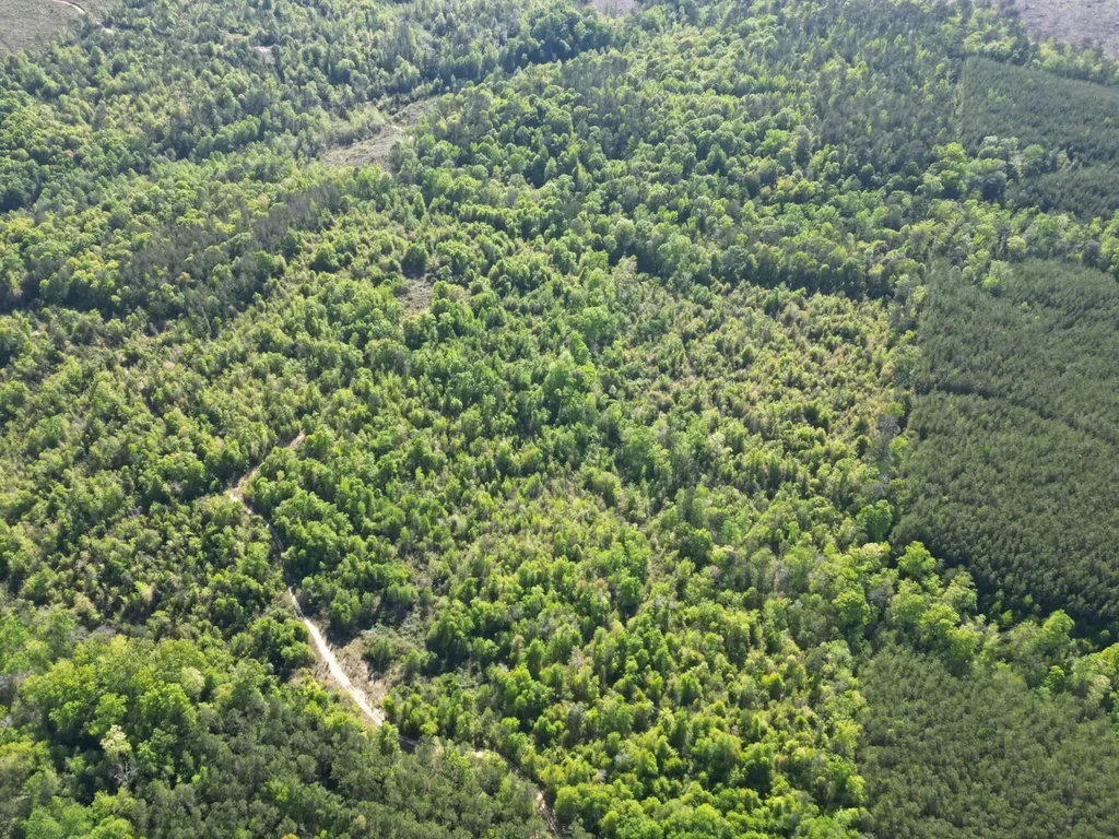 0 Shady Grove Road Gainestown AL 36540