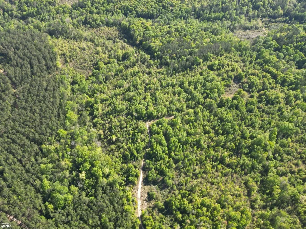 0 Shady Grove Road Gainestown AL 36540