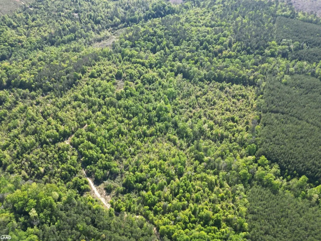 0 Shady Grove Road Gainestown AL 36540