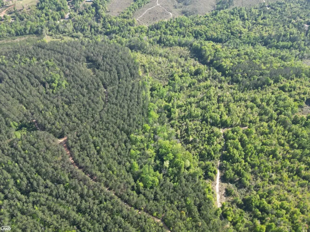 0 Shady Grove Road Gainestown AL 36540