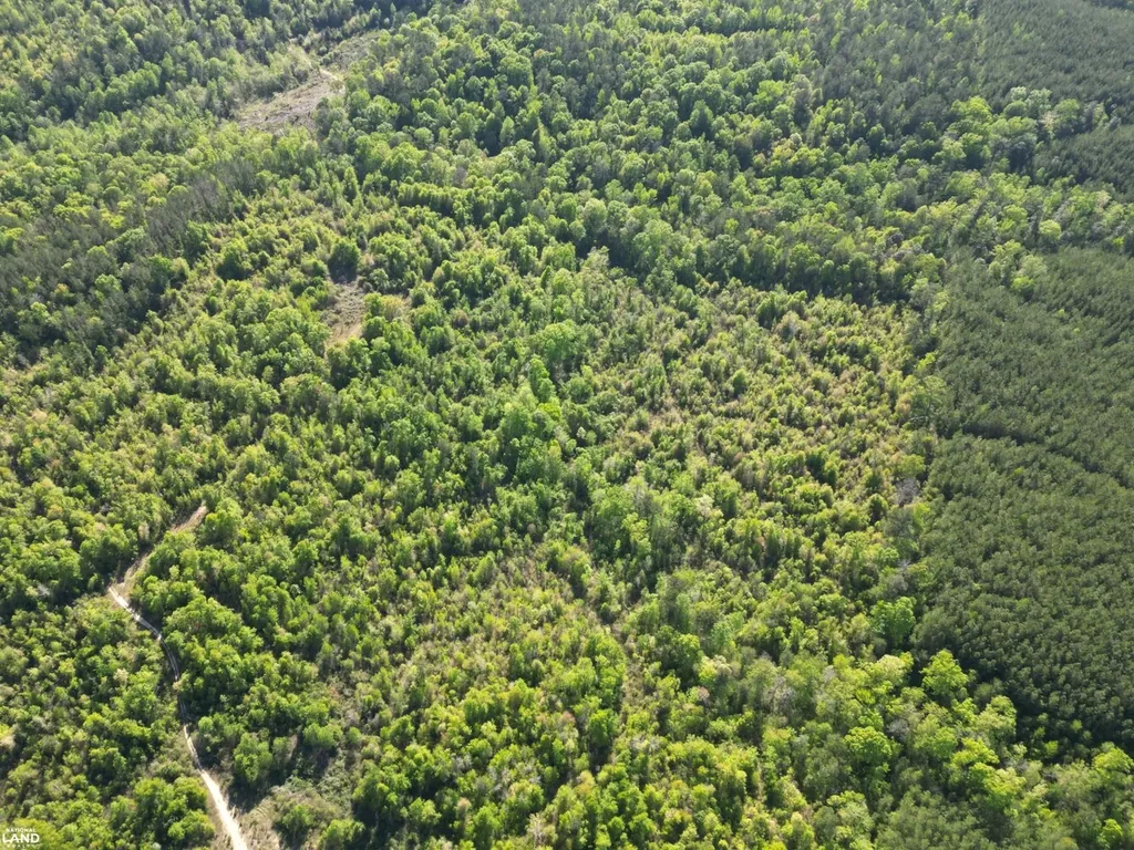 0 Shady Grove Road Gainestown AL 36540