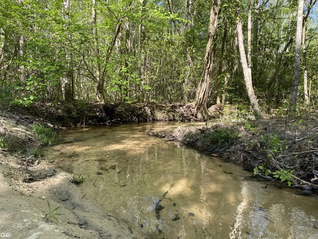 0 Shady Grove Road Gainestown AL 36540