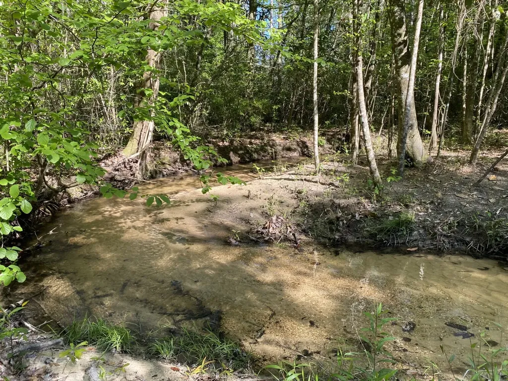 0 Shady Grove Road Gainestown AL 36540