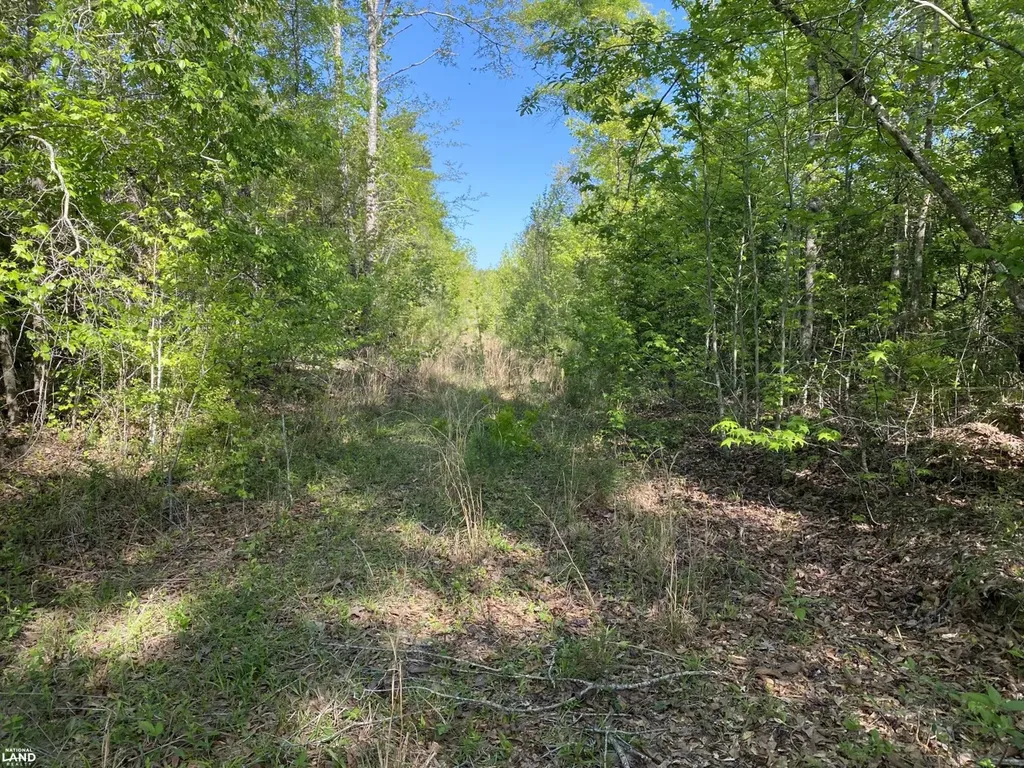 0 Shady Grove Road Gainestown AL 36540