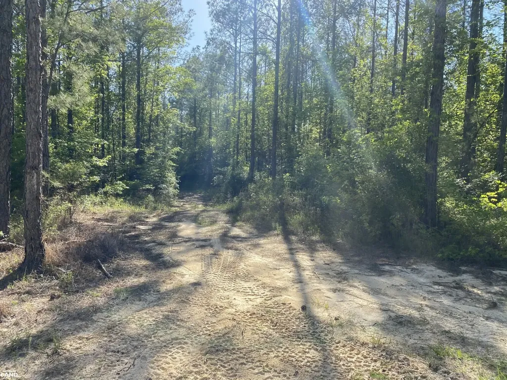 0 Shady Grove Road Gainestown AL 36540