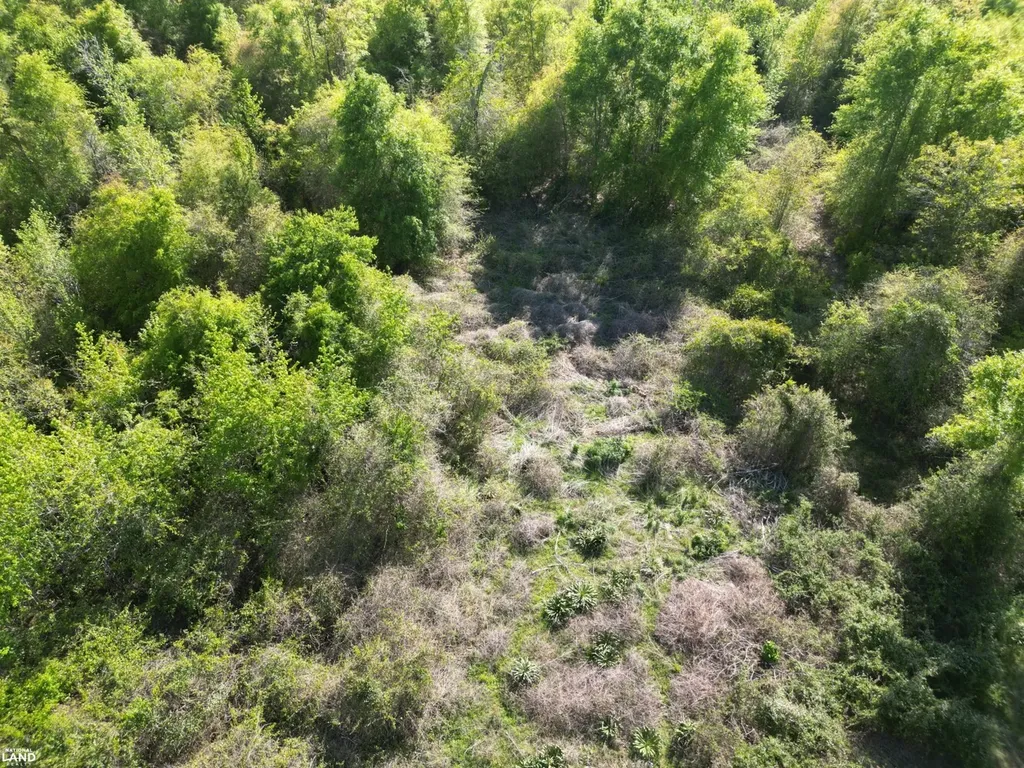 0 Shady Grove Road Gainestown AL 36540