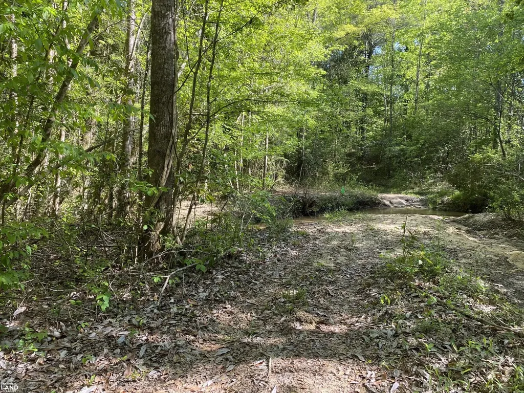 0 Shady Grove Road Gainestown AL 36540