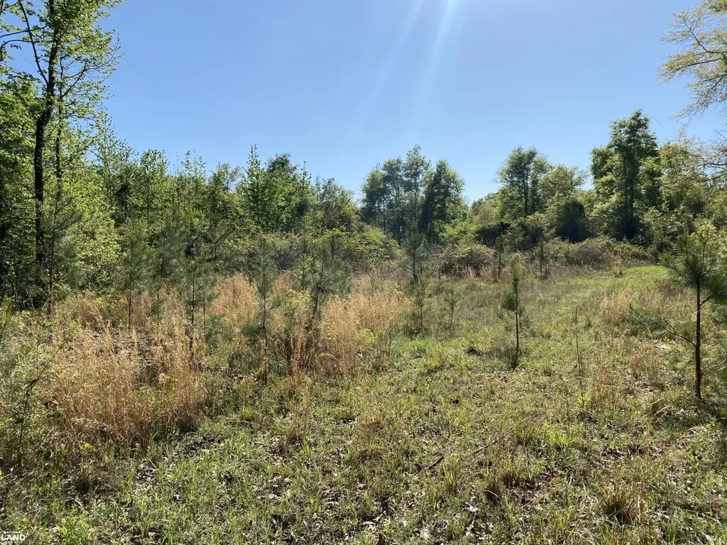 0 Shady Grove Road Gainestown AL 36540