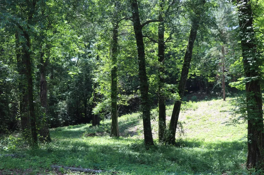 5005 Northwood Lake Drive East Northport AL 35473