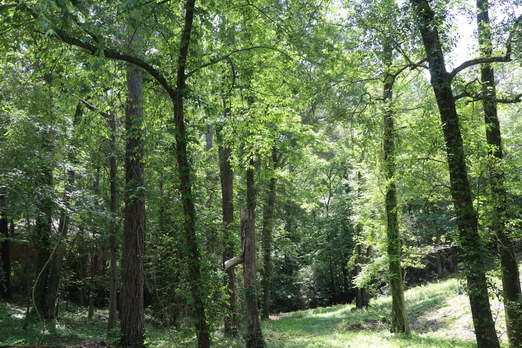 5005 Northwood Lake Drive East Northport AL 35473