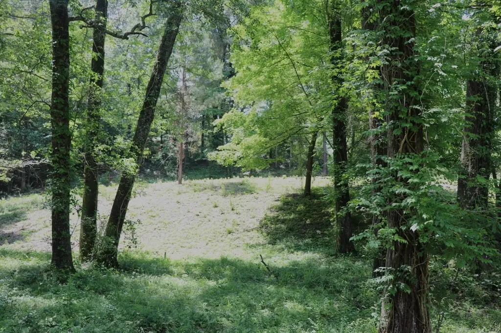 5005 Northwood Lake Drive East Northport AL 35473