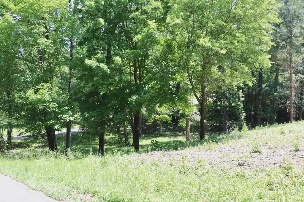 5005 Northwood Lake Drive East Northport AL 35473