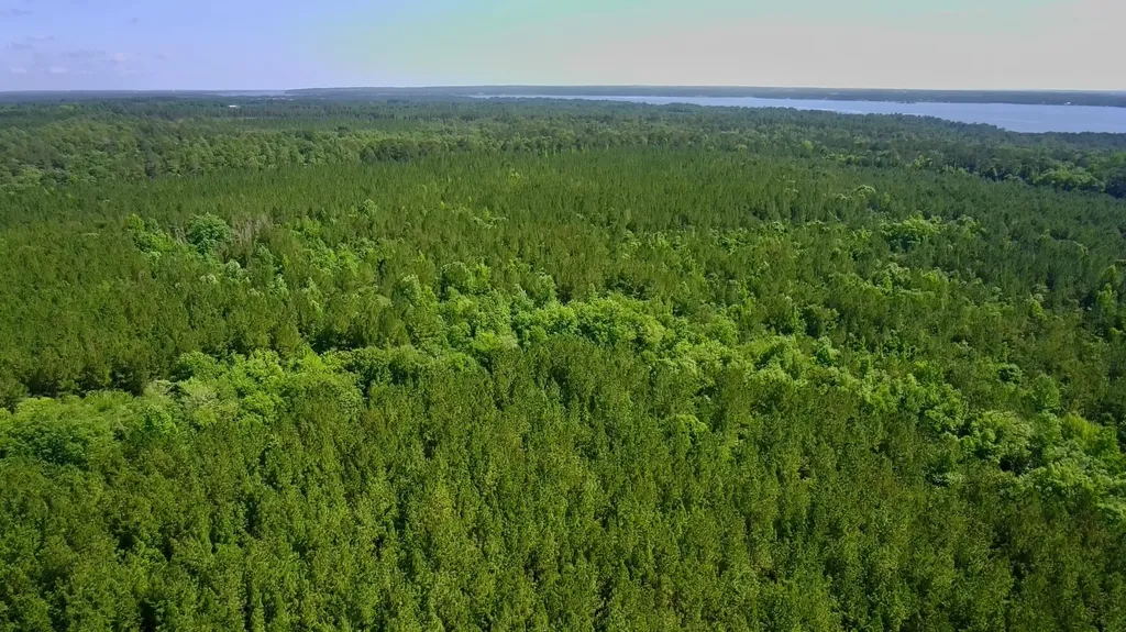 000 Pebble Cove Road Abbeville AL 36310