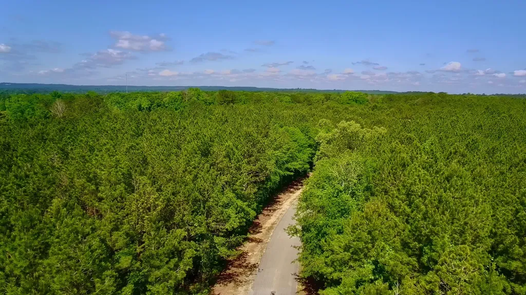 000 Pebble Cove Road Abbeville AL 36310