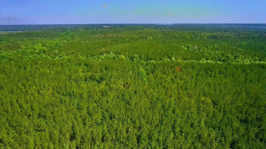 000 Pebble Cove Road Abbeville AL 36310