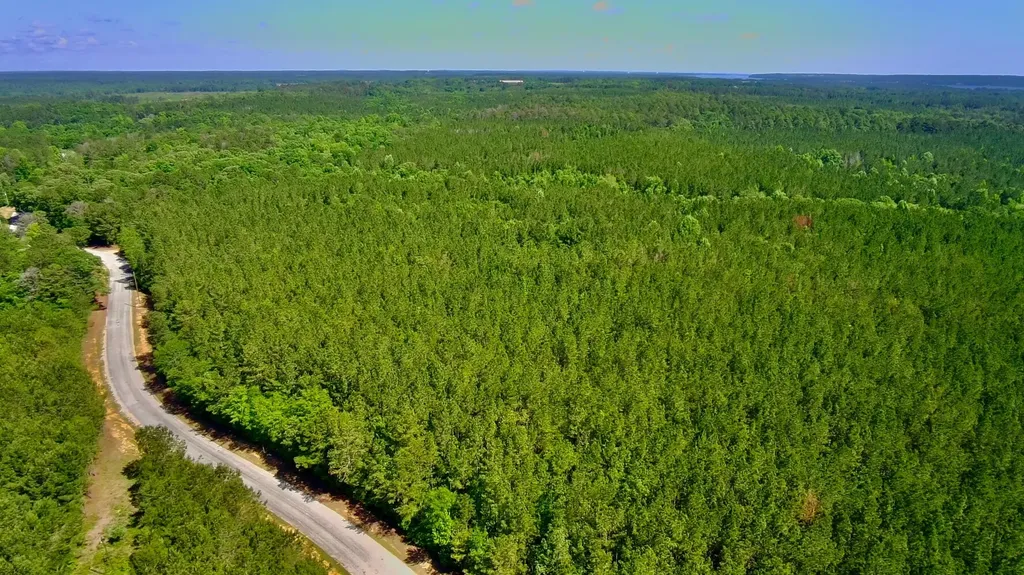 000 Pebble Cove Road Abbeville AL 36310