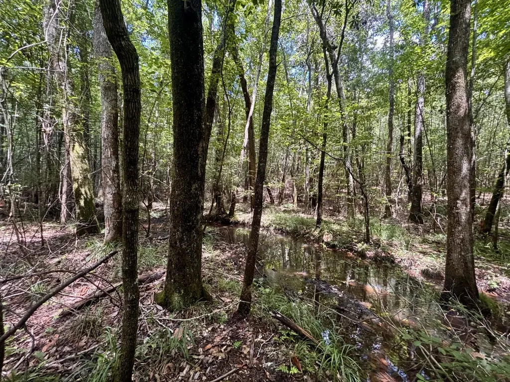 000 Pebble Cove Road Abbeville AL 36310