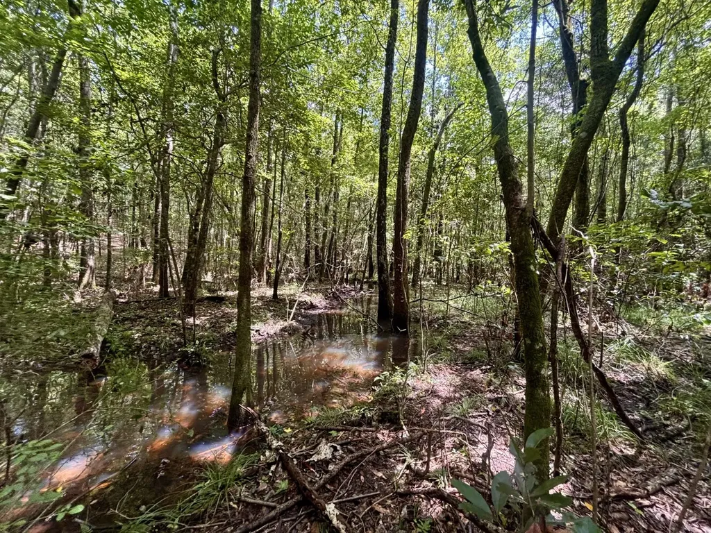 000 Pebble Cove Road Abbeville AL 36310