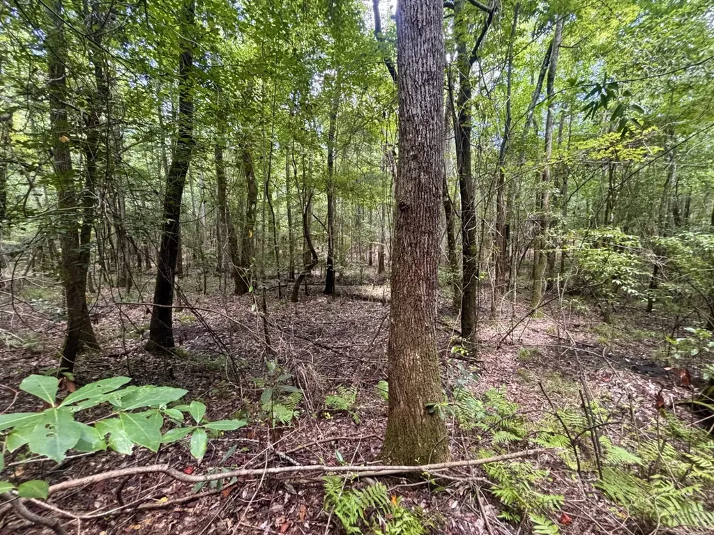 000 Pebble Cove Road Abbeville AL 36310