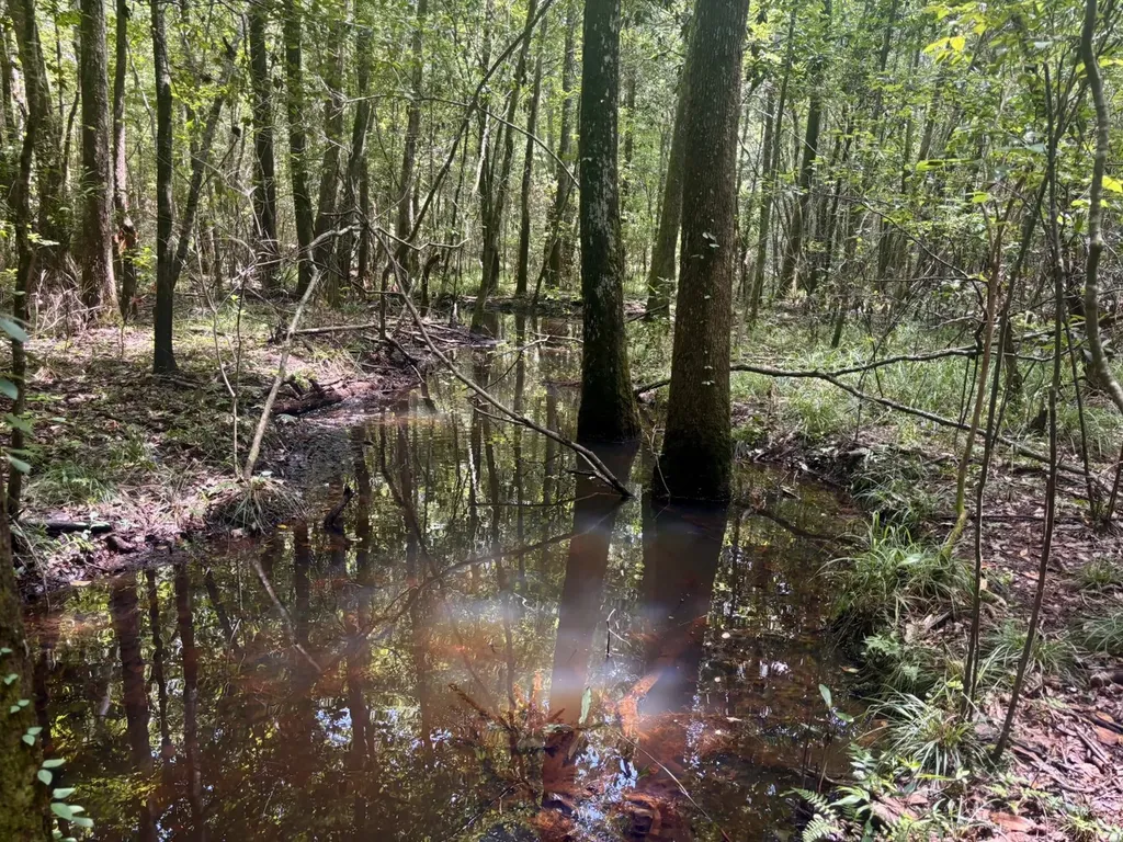 000 Pebble Cove Road Abbeville AL 36310