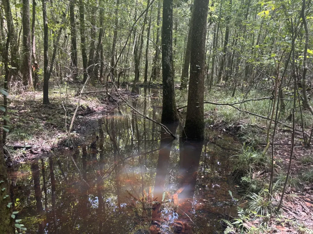 000 Pebble Cove Road Abbeville AL 36310