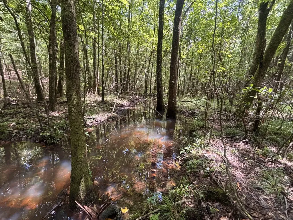 000 Pebble Cove Road Abbeville AL 36310