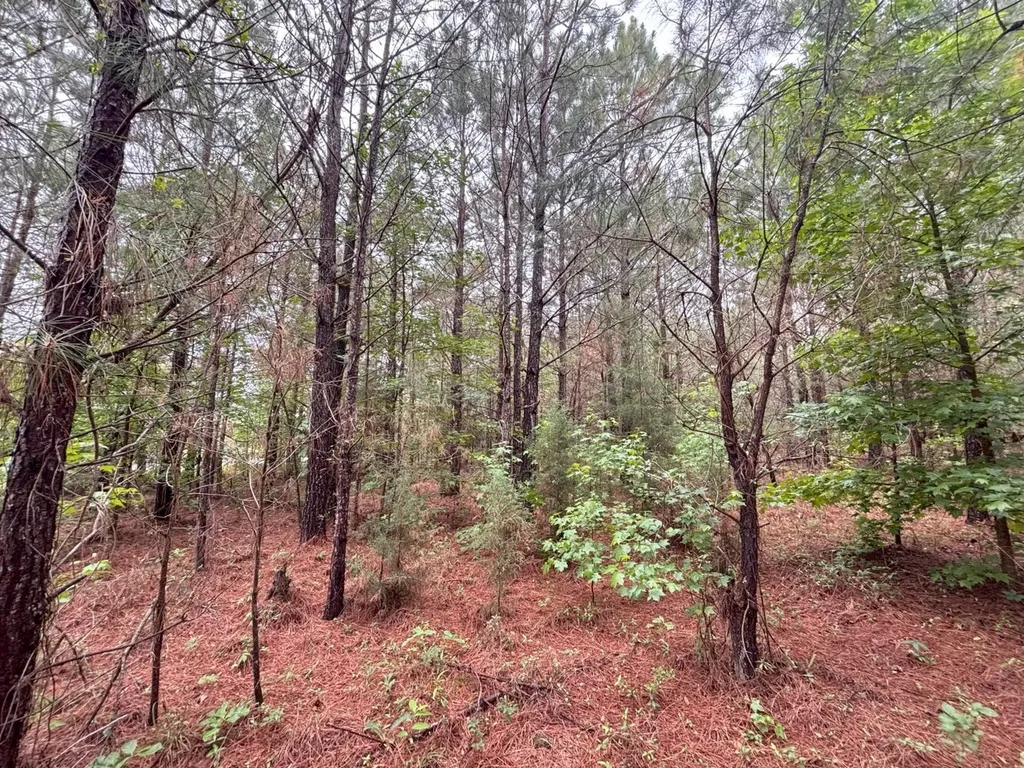 000 Pebble Cove Road Abbeville AL 36310