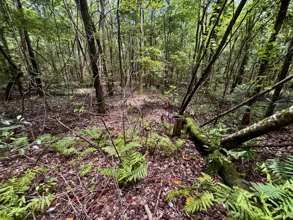 000 Pebble Cove Road Abbeville AL 36310