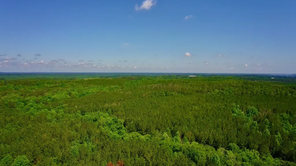 000 Pebble Cove Road Abbeville AL 36310