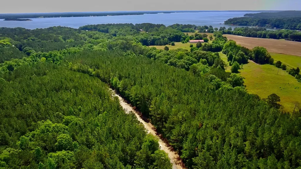 000 Pebble Cove Road Abbeville AL 36310