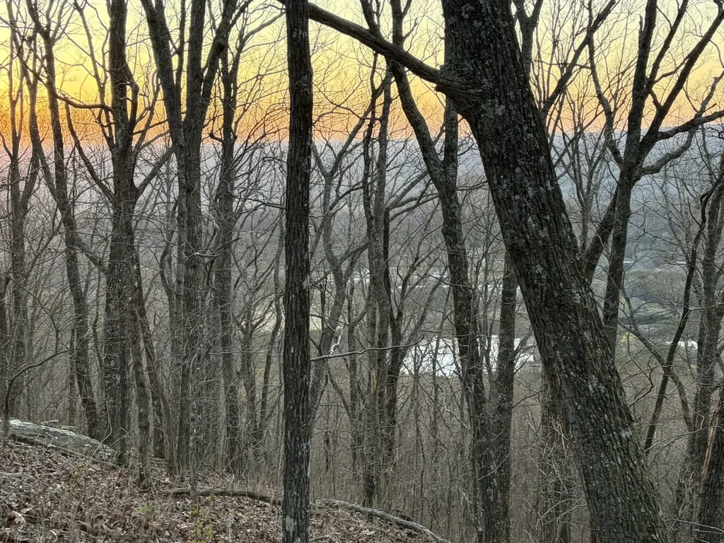 Tract 1 Scenic Highway Mentone AL 35984