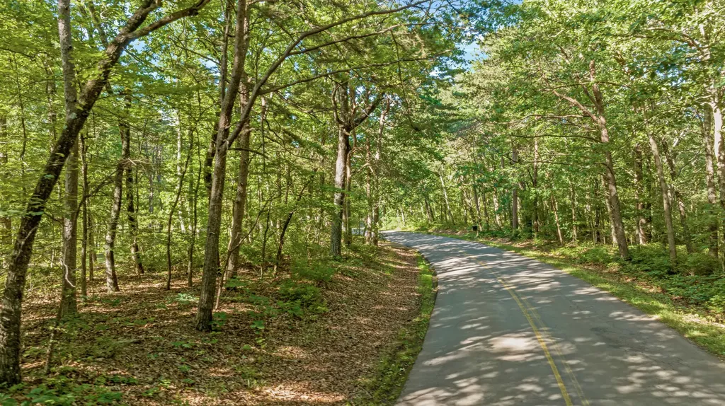 Tract 1 Scenic Highway Mentone AL 35984